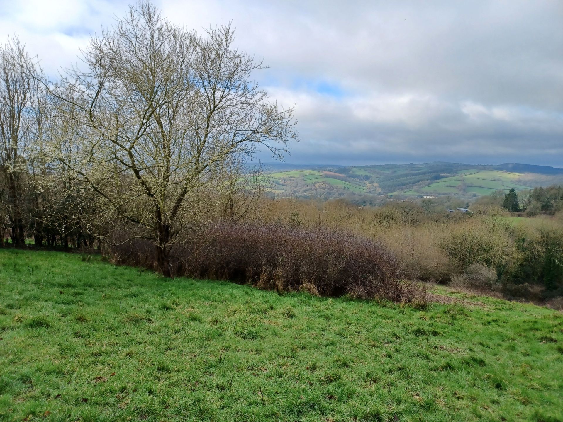 Distant countryside view